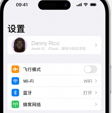 莱西appleID维修服务iPhone设置中Apple ID显示为灰色无法使用