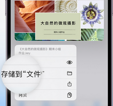 莱西apple维修中心分享iPhone文件应用中存储和找到下载文件