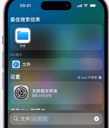 莱西apple维修中心分享iPhone文件应用中存储和找到下载文件 