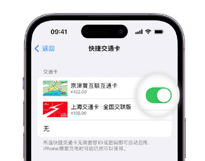 莱西apple维修点分享iPhone上更换Apple Pay快捷交通卡手绘卡面 