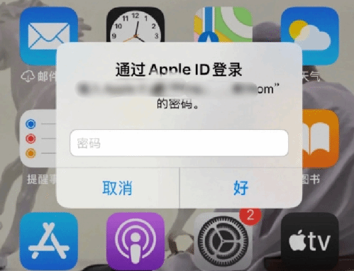 莱西苹果设备维修分享无故多次要求输入AppleID密码怎么办 