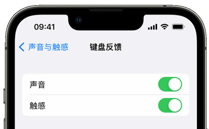 莱西苹果手机维修分享iPhone 14触感键盘使用方法 