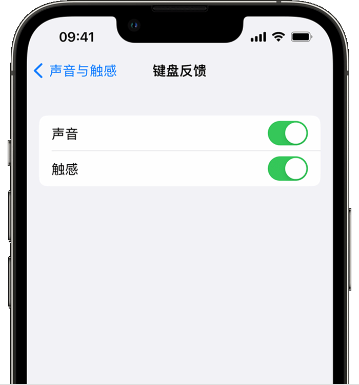 莱西苹果14维修店分享如何在 iPhone 14 机型中使用触感键盘 