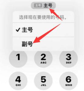 莱西苹果14维修店分享iPhone 14 Pro Max使用副卡打电话的方法 