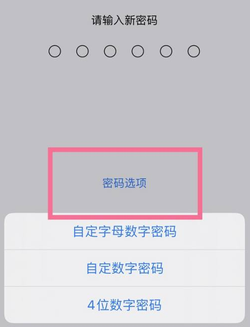 莱西苹果14维修分享iPhone 14plus设置密码的方法 