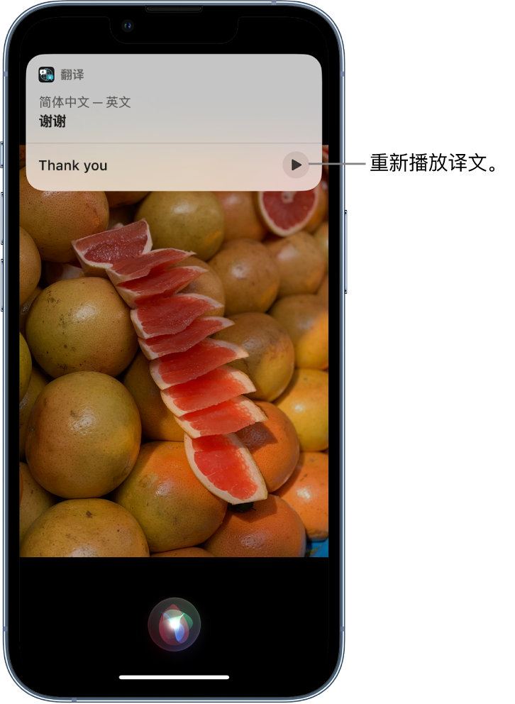 莱西苹果14维修分享 iPhone 14 机型中使用 Siri：了解 Siri 能帮你做什么 