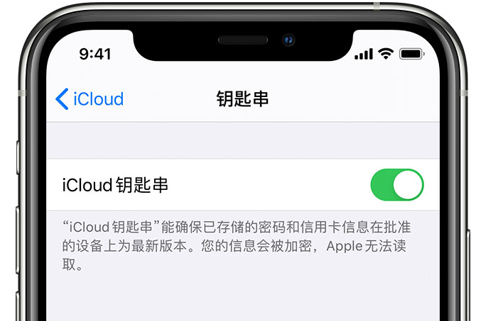 莱西苹果手机维修分享在 iPhone 上开启 iCloud 钥匙串之后会储存哪些信息 