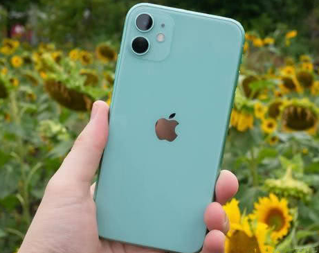 莱西苹果维修点分享iPhone 11锁屏密码认知与使用科普 